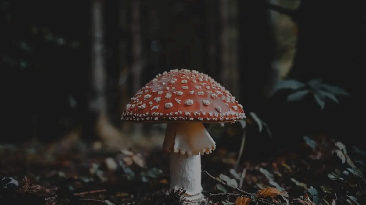 Where Was This Photo Taken? 4 Free Ways to Find Out